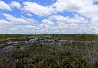 Überschwemmte Landschaft von La Primavera