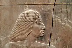 aus den verschiedenen