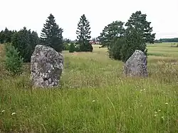 Bautasteine auf Årby gravfält