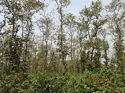 Beispielbild Kadigarh-Nationalpark