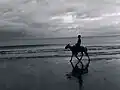 Ein Reiter streift am Strand von Kuakata umher.