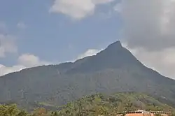 Tropischer Regenwald von Hainan und die traditionelle Siedlung der ethnischen Gruppe der Li