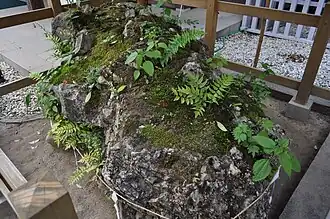 Sazare-ishi am Takeda-Schrein