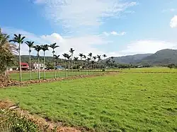 Landschaft in Manzhou