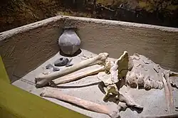 Grab der Schnurkeramische Kultur