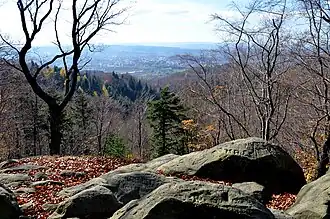 Sanok, von Adlerfels aus gesehen und die Bukowicahügel im Hintergrund (2013)