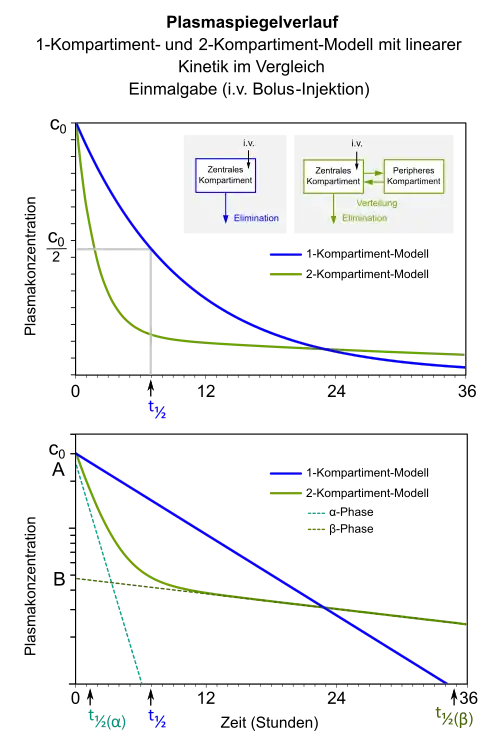 Simulierte Plasmaspiegelverläufe
