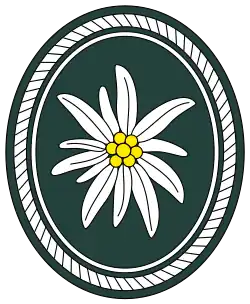 Verbandsabzeichen 1. Gebirgsdivision