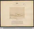 „Die ‚Lichten‘ oder ‚Welserschecken‘“ und die Beschreibung dieser Rinderrassen der K.K. Landwirtschafts-Gesellschaft für Oberösterreich in Linz auf der Weltausstellung 1873 in Wien