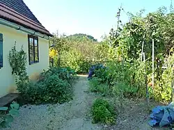 Hausgarten mit historischen Nutzpflanzen