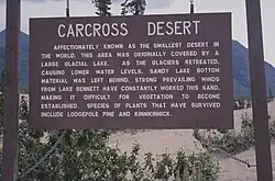 Erklärungen zur kleinsten Wüste der Welt (Carcross Desert).