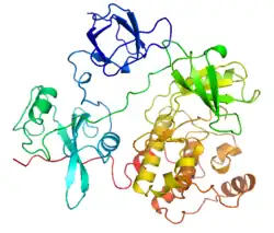 Tyrosinkinase Src