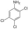 Struktur von 2,4,5-Trichloranilin