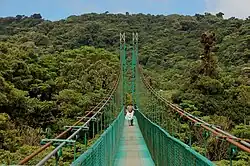 Hanging Bridges in Monteverde