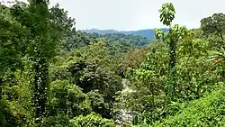 Umgebung des Wasserfalls