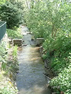 Eckbach mit Wehr in Dirmstein