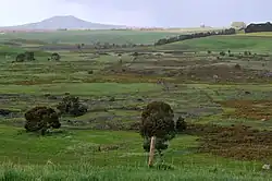 Blick vom Harmans Valley bis zum Mount Napier
