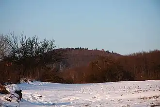 Blick von Osten zum Kellerskopf mit Aussichtsturm …
