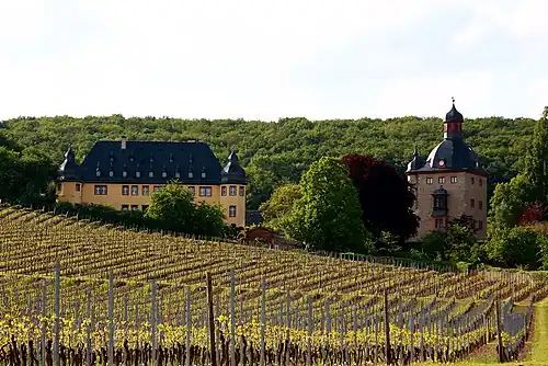 Schloss Vollrads in den Weinbergen