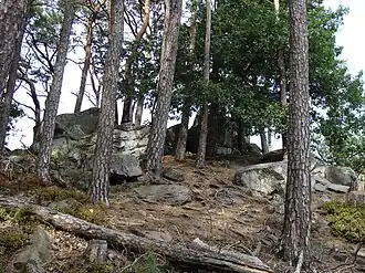 Gipfel des Taubenkopfs