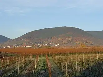 Blick von Maikammer zum Breitenberg mit der Ortschaft Sankt Martin am Südostfuß