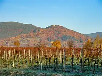 Wetterkreuzberg von Maikammer aus gesehen