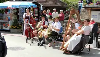 Musikanten beim Seefest 2013
