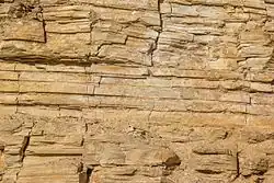 Detailansicht von Plattenkalksteinen im Steinbruch Blumenberg (Eichstätt)