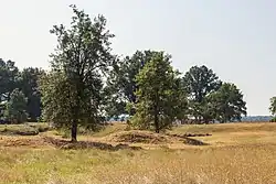 Sulzheimer Gipshügel