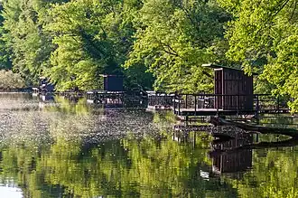 VSG Wörther Altrhein