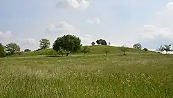 Der Lutherberg westlich von Steinbach. Wo heute Schafen grasen, standen einst die Radaranlagen.