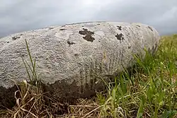 Oghamschrift auf einem Stein (Detail)