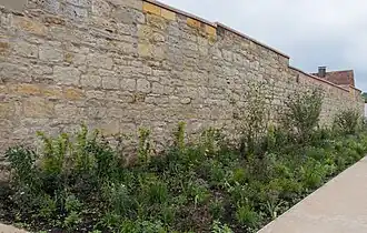 Die Stadtmauer als Teil der Gartenschau