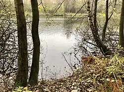 Mittlerer Rotzkottener Teich