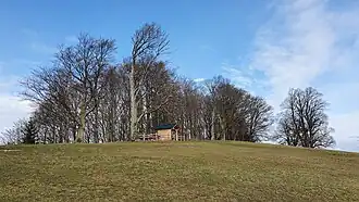 Bichlberg vom Süden