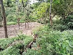 In der Aldeia Anahun (2020)