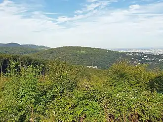 Blick vom Heuberg auf den Schafberg
