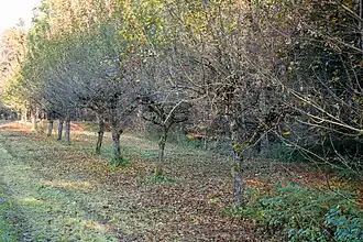 Gelände des abgebrannten Betriebsgebäudes