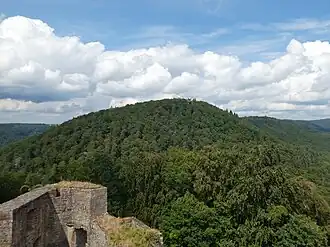 Winschertberg – Vorderer Winschertkopf (Blick von der Burg Gräfenstein)
