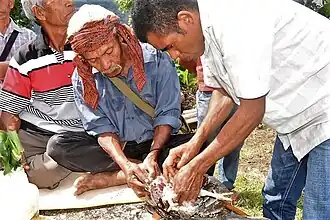 Ein Huhn wird zur Zeremonie geopfert