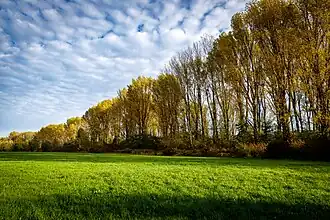 Spätherbstliche Impression