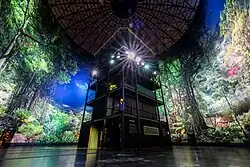 AMAZONIEN (seit Januar 2024)