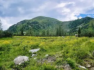 Blick von der Reiteralm