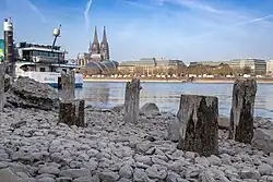 Holzpfähle auf steinigem Untergrund vor dem Rhein, gegenüber der Kölner Dom