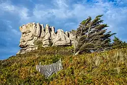 Eine auffällige, gezackte Felsformation thront auf einem Hügel, umgeben von Vegetation. Die Felsen wirken wie riesige, senkrecht gestellte Zinnen oder eine natürliche Krone. Daneben stehen stark vom Wind gebeugte Bäume, deren Äste sich einheitlich nach rechts neigen. Im Vordergrund ist ein beschädigter, weißer Holzzaun zu sehen, der sich durch das dichte Farnkraut zieht. Der Himmel ist teils bewölkt und blau
