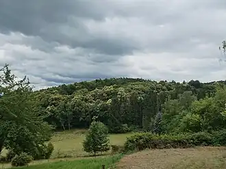Heidelberg - Blick von der Kropsburg