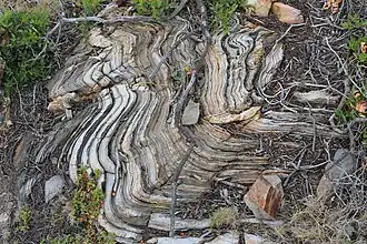 Quarzit mit migmatitischem Gefüge und einzelnen boudinierten Lagen