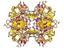 Trypsin-1