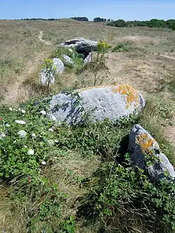 Allée couverte von Ribl