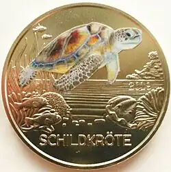 Schildkröte Bildseite